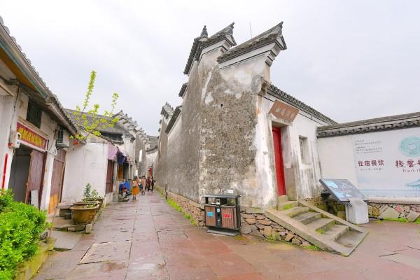 探知问答-汇集热门问题,深入解答